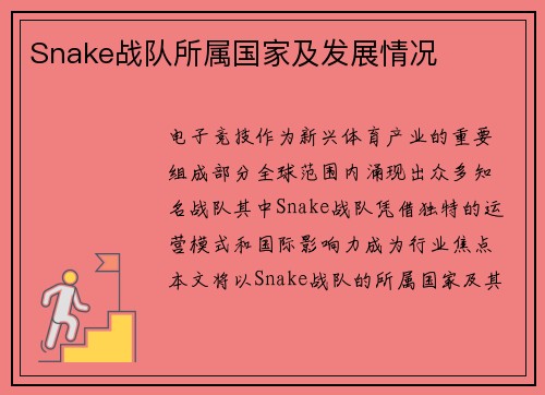 Snake战队所属国家及发展情况