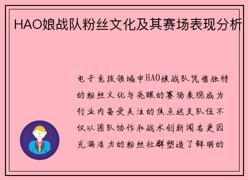 HAO娘战队粉丝文化及其赛场表现分析